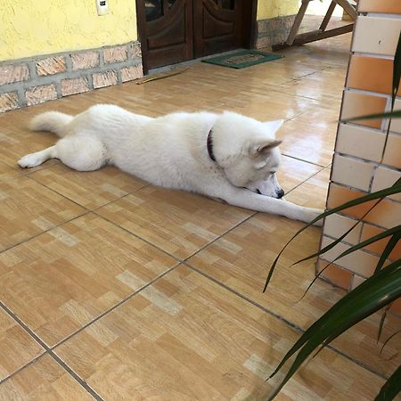 Guest House Lua Paracuru Εξωτερικό φωτογραφία